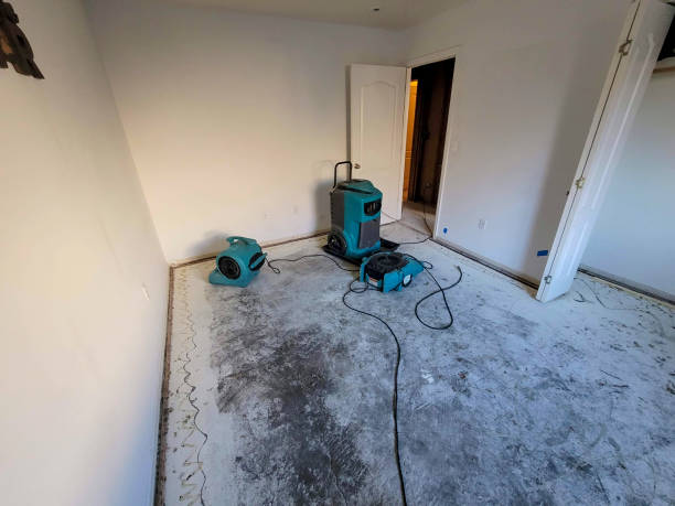 Best Commercial water damage restoration  in Ottumwa, IA