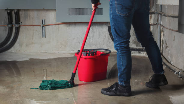  Ottumwa, IA Water damage restoration Pros
